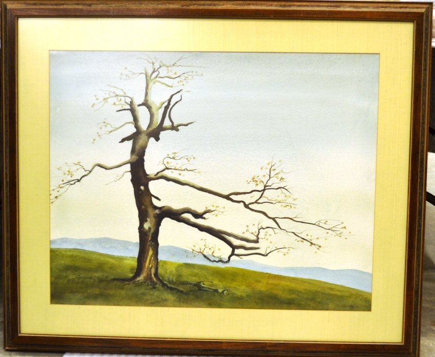 Tree with Tiny Leaves and Mountains in Background