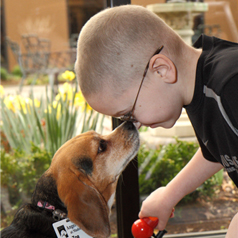 Angel Dog Program