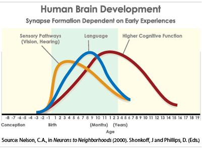 Brain Development And How Children Learn