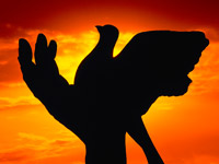 Prayer Ministry: