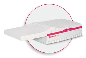 Screen Cezanne Elite Flatbed Scanner