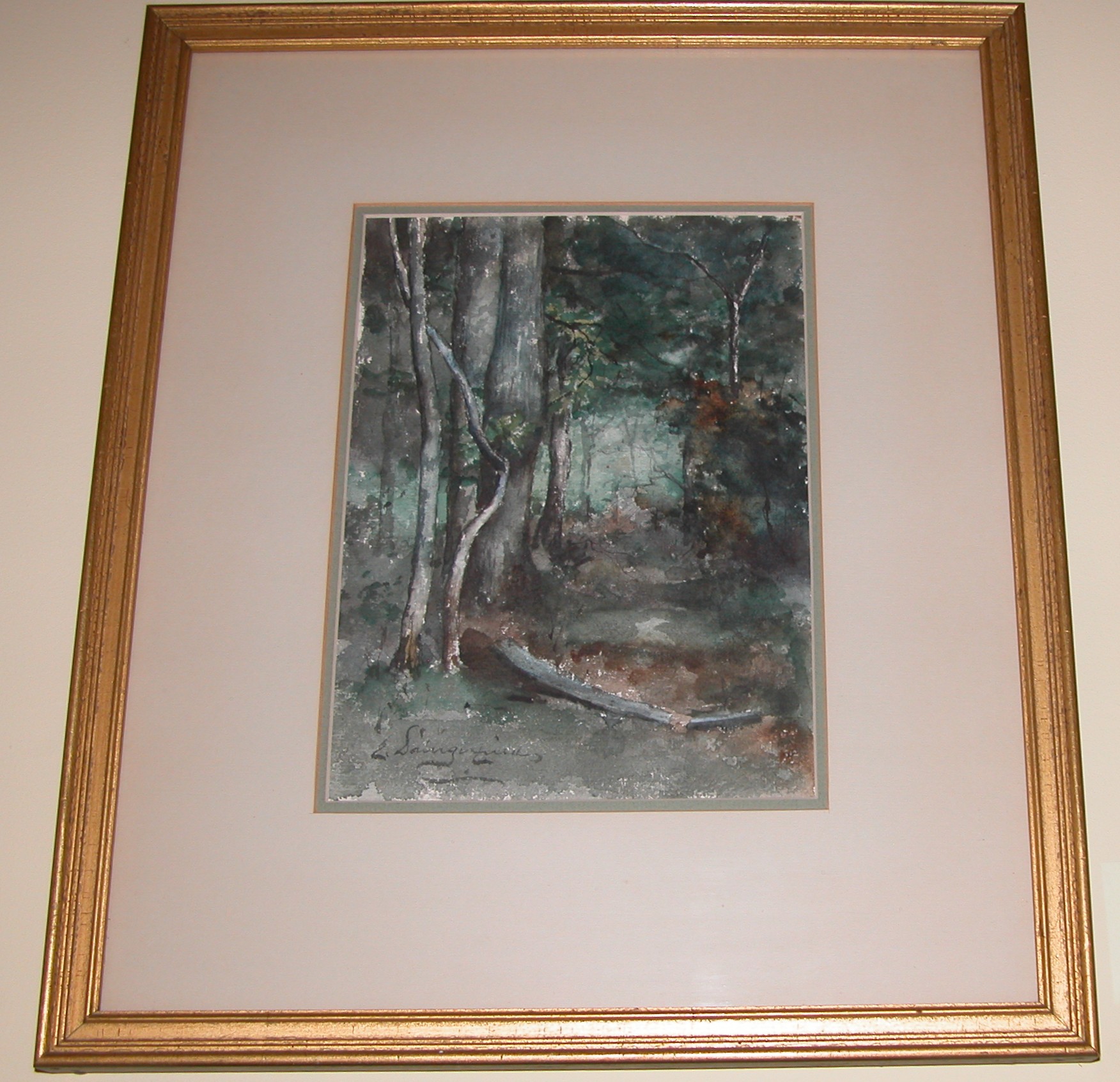 Woodland Interior