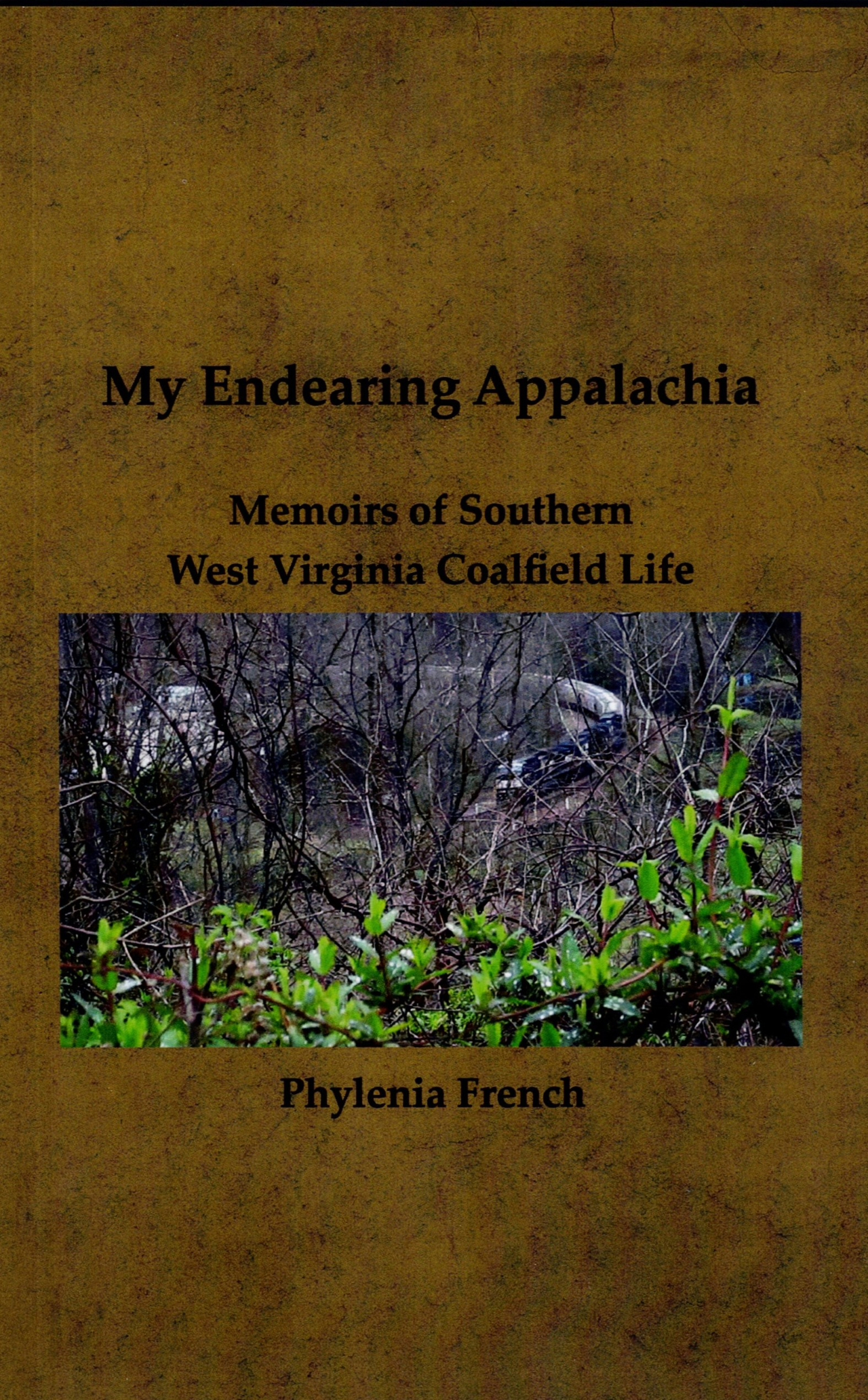 My Endearing Appalachia -- Memoirs of Southern West Virginia Coalfield Life