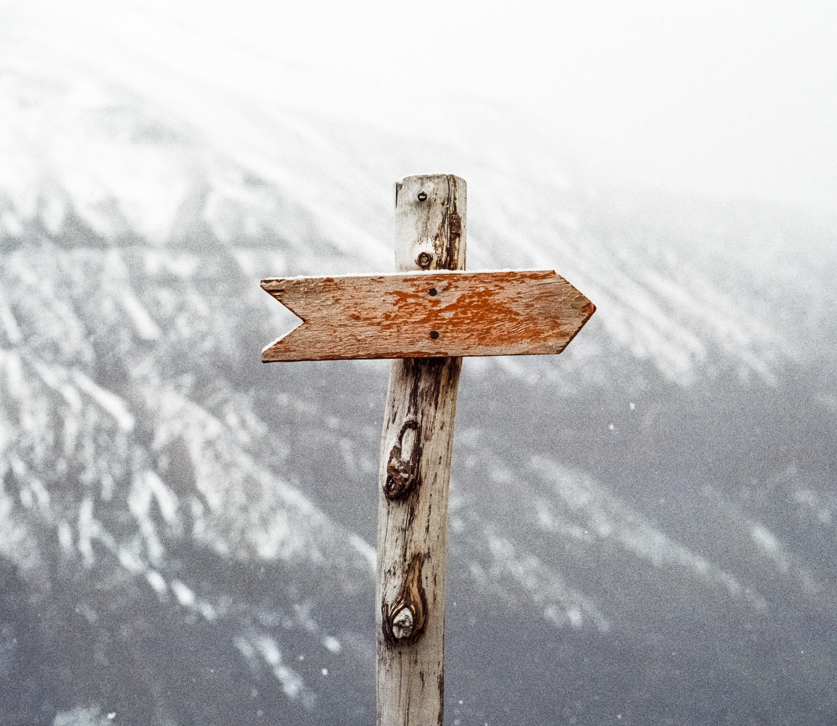 Leaders Point the Way for Others