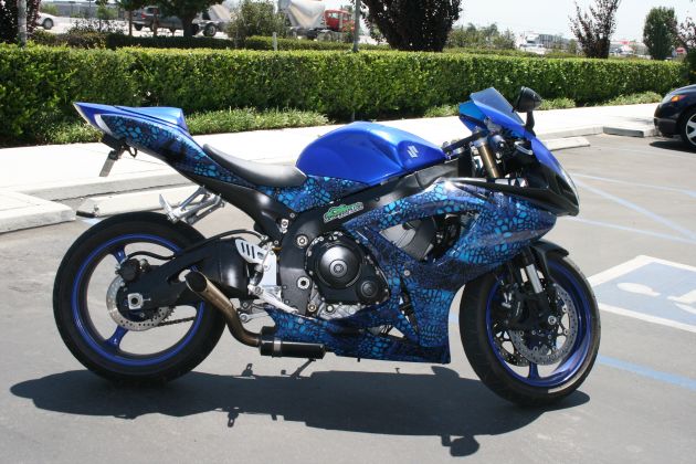 Suzuki Gatorwraped