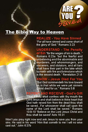 That's in the Bible Study | Back