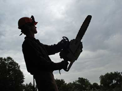 Summer Jobs