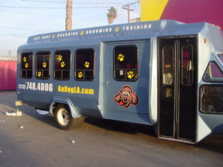 BUS GRAPHICS