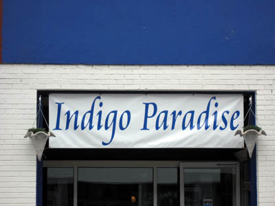 Indigo Paradise