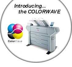 ColorWave Spotlight