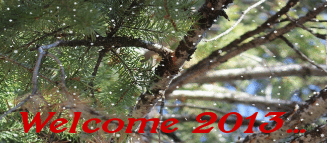 Minuteman Press Rockaway NJ  Welcome 2013  Postcards Post cards