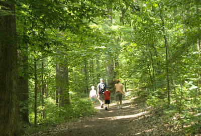 Guided Walks