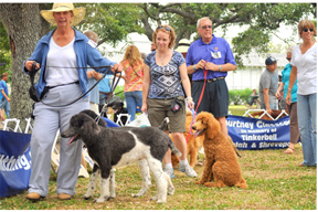 A Bark in the Park - Galveston Island Dog Show