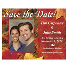 Magents for Note Boards, ................Save the Date, Calendars, Picture Frames, Direct Mail Postcards w/ Perforated Magnet, Glow in the Darf & lots more !