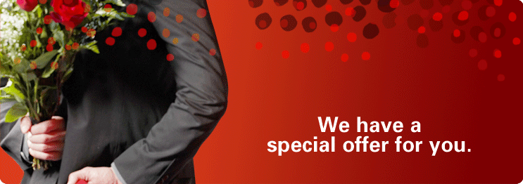 Special Offers (fireworks)