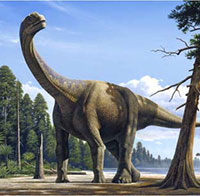 Camarasaurus (Camarasauridae, Sauropoda) Pathologies of the Beside Sauropod Quarry, Thermopolis, Wyoming