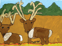 Rocky Mountain Duo