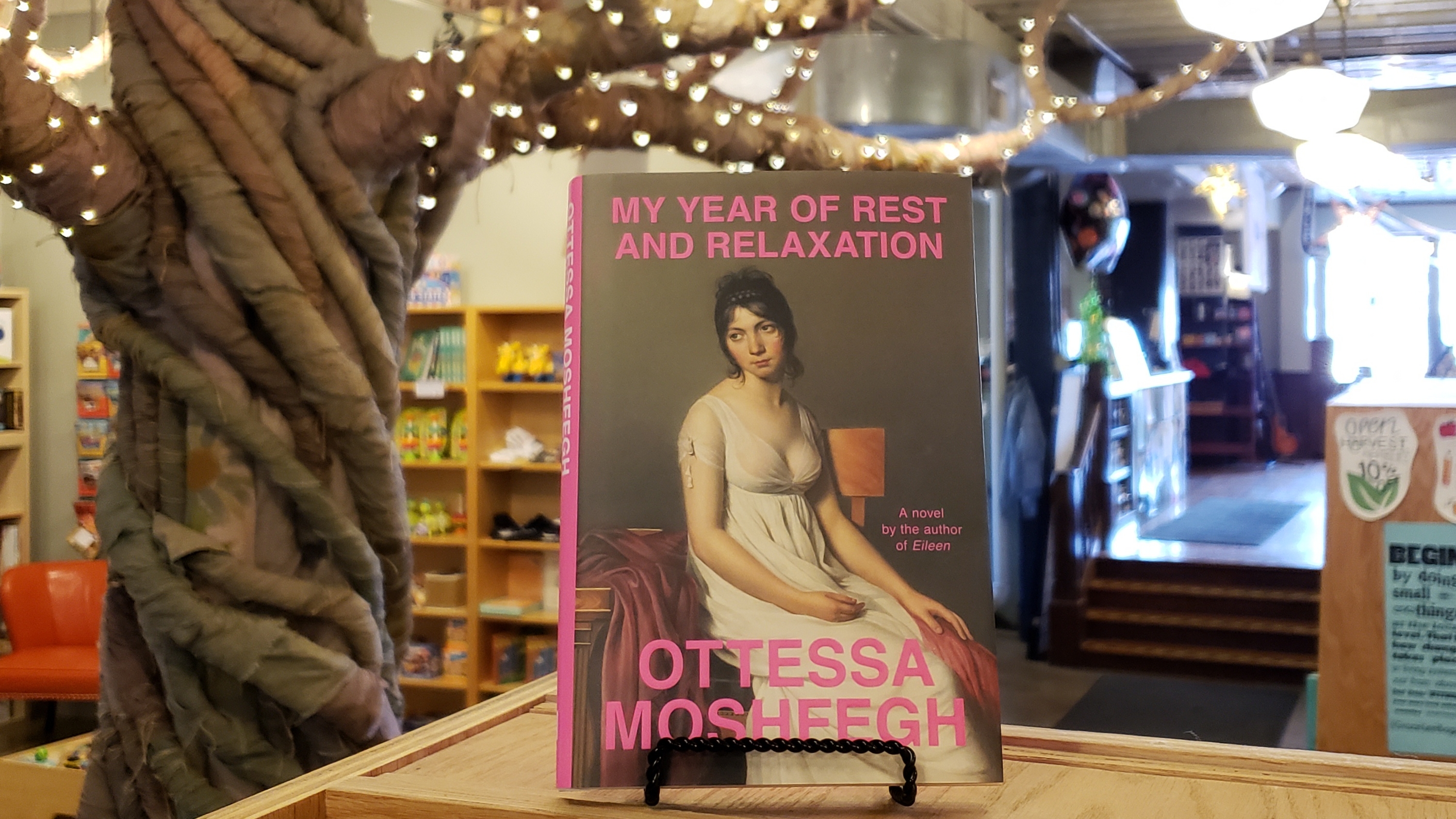 Modern Fiction Book Club: My Year of Rest and Relaxation