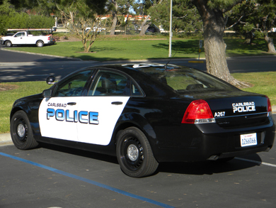 Vehicle Graphics