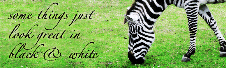 Black and White Copying