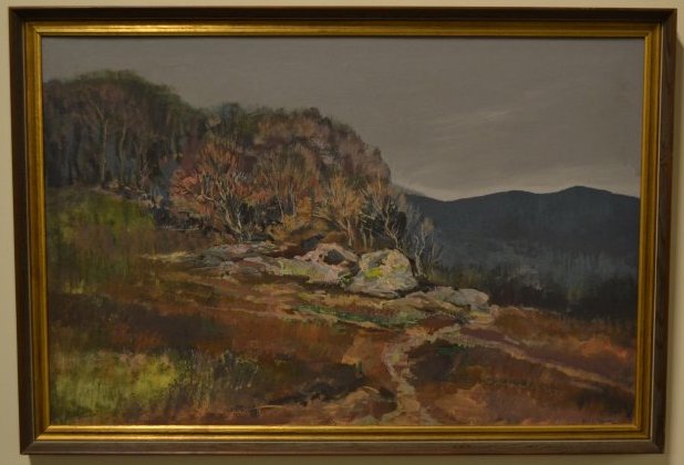 Hillside