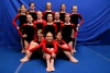 Gymnastics Team