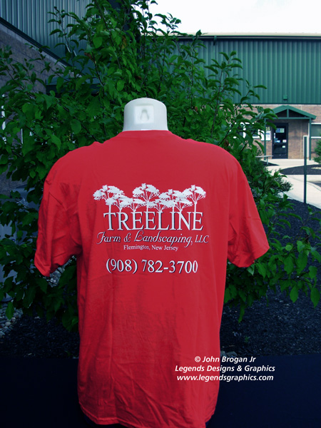 Screen Printed t-shirt 2 color
