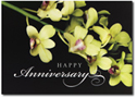 All Occasion Cards
