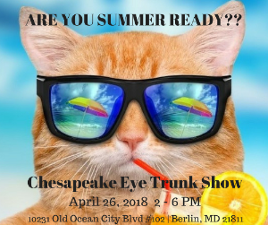 Chesapeake Eye Trunk Show to Benefit Habitat Worcester County