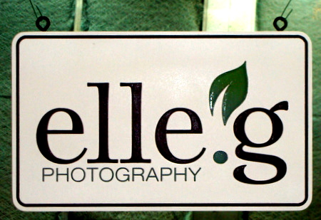 SA28316 - Carved Wood Photography Studio Sign