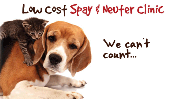 Spay & Neuter