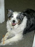 Rosie