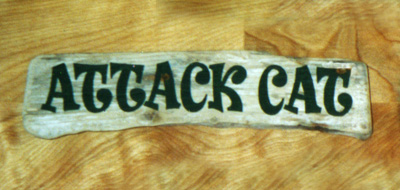 Attack Cat
