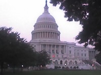 Public Policy & Advocacy