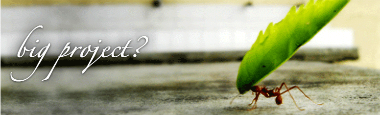 http://cdn.firespring.com/images/3/a/c/8/6/39a51512-ae19-c3cc-831b-6854a0bc7e2e.gif