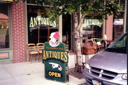 Window & Door Graphics 8