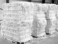 Shredded Office Paper - SOP