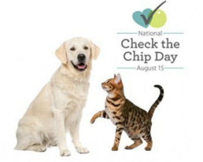 Check the Chip Day