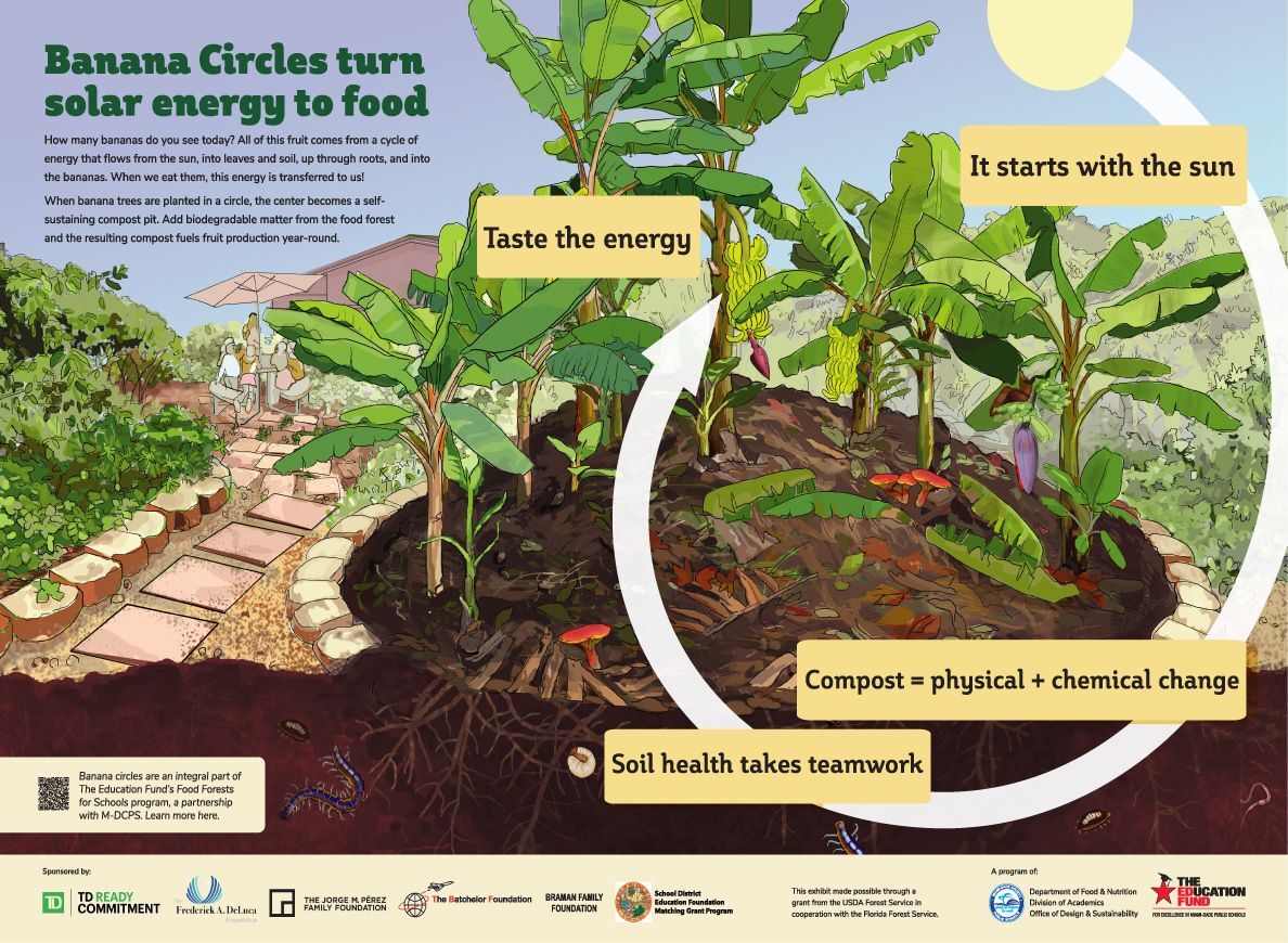 Diagram of a Banana Circle