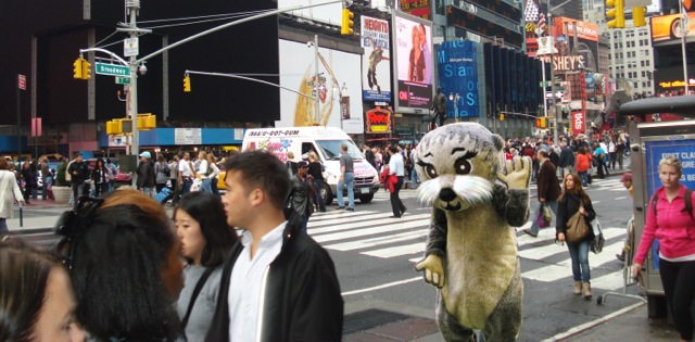 Are You An  Otter Spotter?