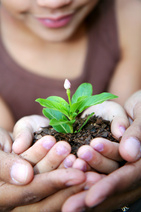 Child Care Subsidy