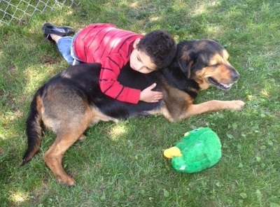 Happy Tails