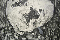 Soft Rot (Remix): Caleb Coppock | Underground