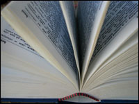 Glossary Of Terms