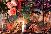 VERA MERCER: STILL LIFES | Gallery 2