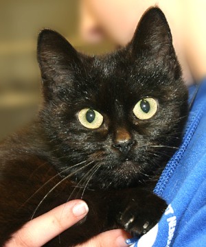 Meet Lilianna!
