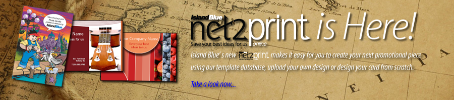Net2Print Intro 4