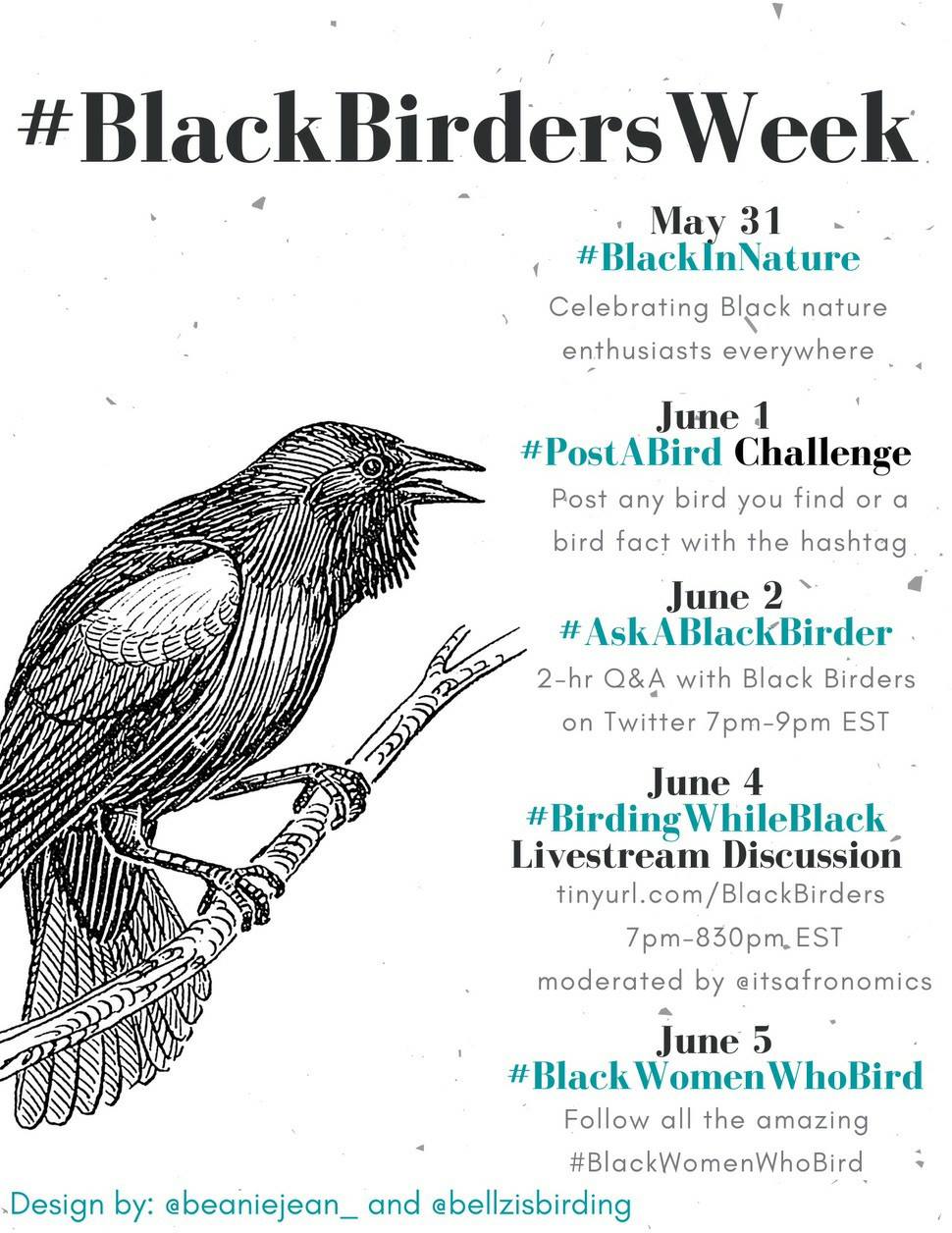 Black Birders Week