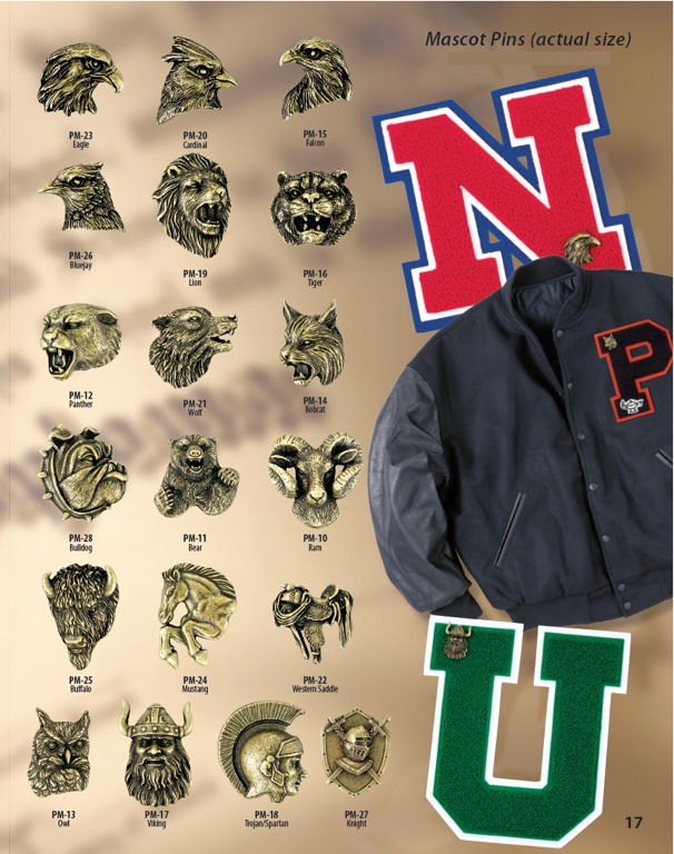 Recognition Pins 2