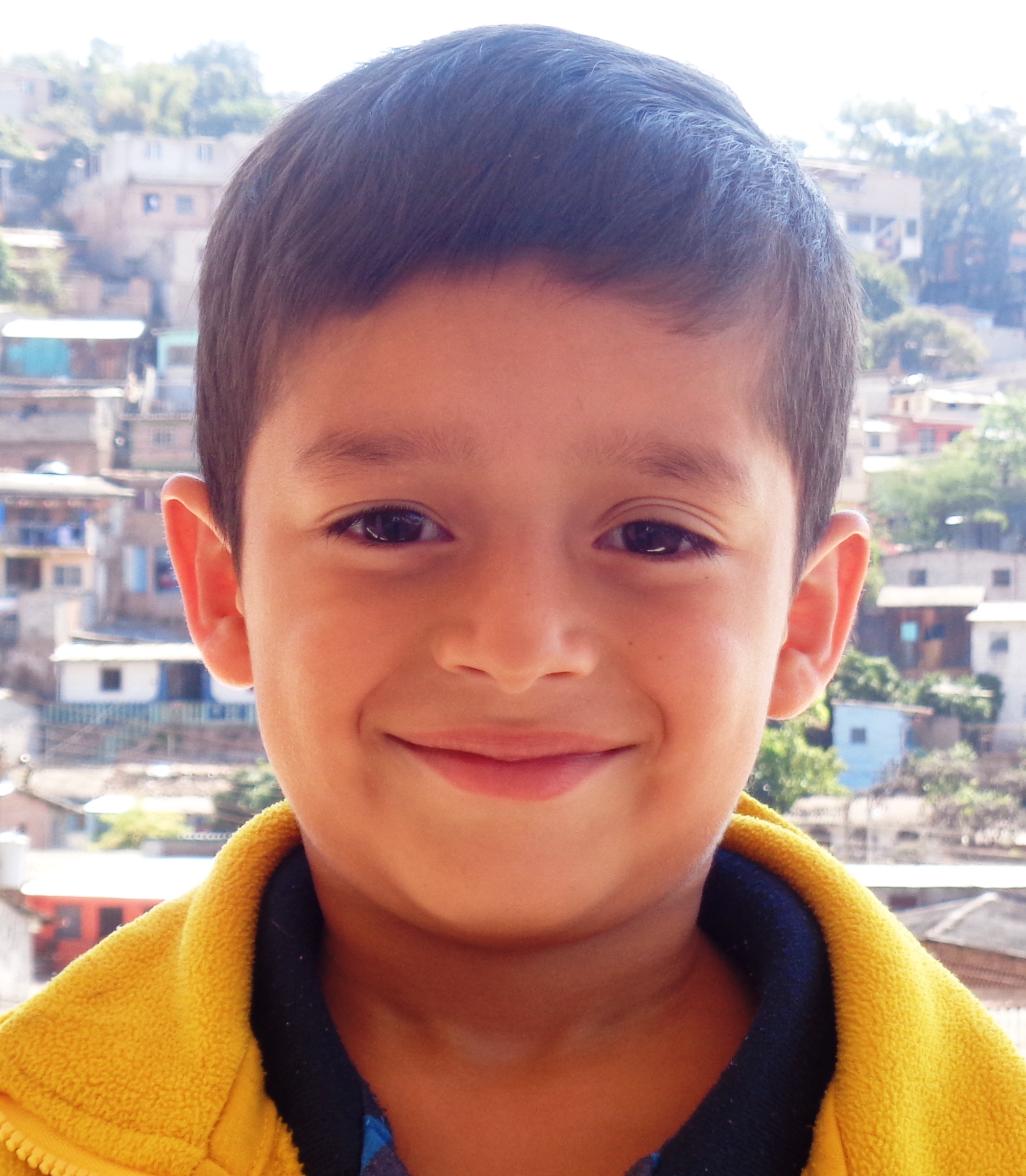 Dennis Alexander Elvir Medrano